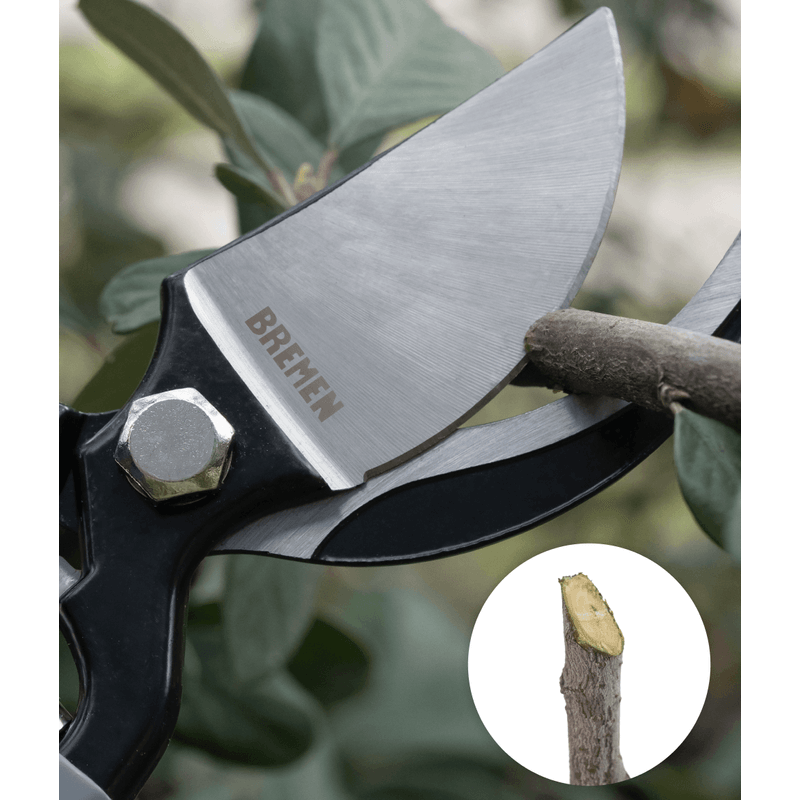 Tijera p/Poda Forjada 10" Mango Curvo BREMEN®